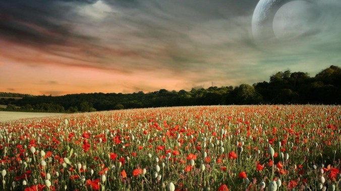 为什么 IPv6 突然不火了？